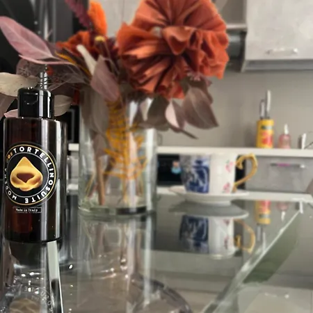 Academy Tortellinosuite 摩德纳