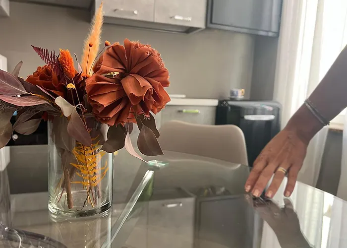 公寓 Academy Tortellinosuite 摩德纳