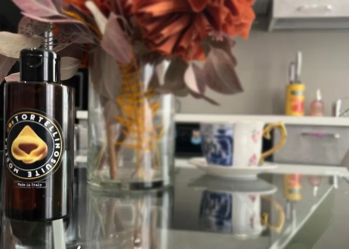 Academy Tortellinosuite Modena